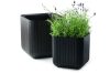   KETER Large cube planter fa hatású műanyag virágtartó -28%!!!