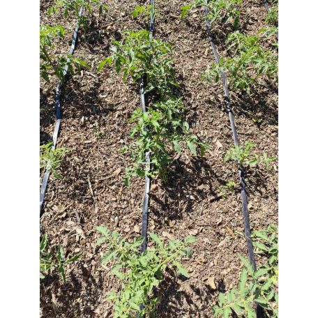 Talajtakaró vegyes mulcs 70L-es kiszerelésben-34%!