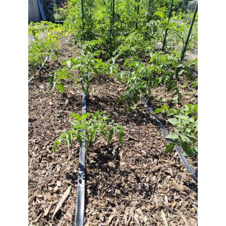 Talajtakaró vegyes mulcs 70L-es kiszerelésben-34%!